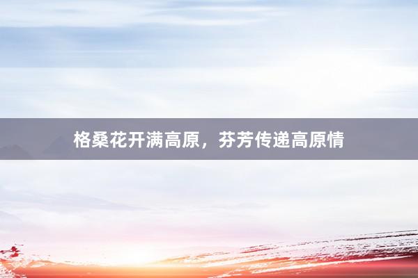 格桑花开满高原，芬芳传递高原情
